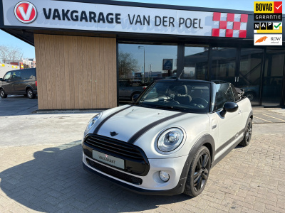 Mini Cooper Cabrio mini 1.5 chili business